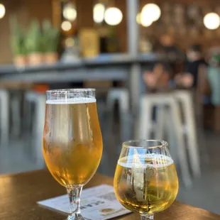 two glasses of beer on a table