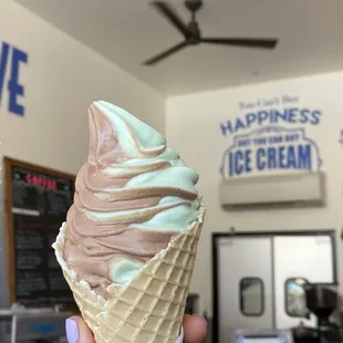 Cafe mocha &amp; mint chip swirl in small waffle cone