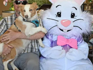 Donnell Century Farm Adventure 