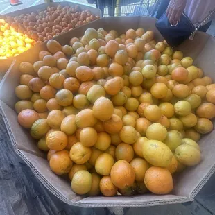 Oranges