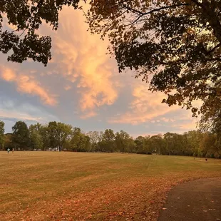 Finally feeling like Fall out here...