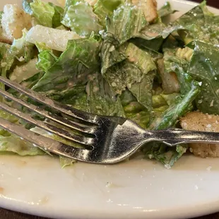 Caesar Salads