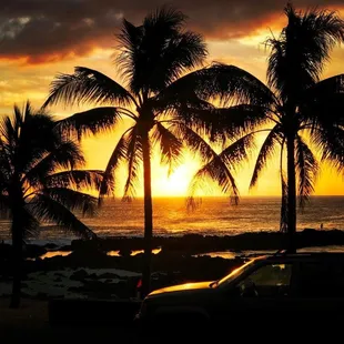 Let us drive you to our beautiful North Shore