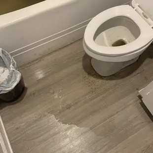 Poop water bad plumbing