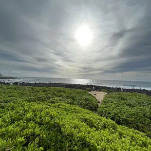 Short restroom break stop view