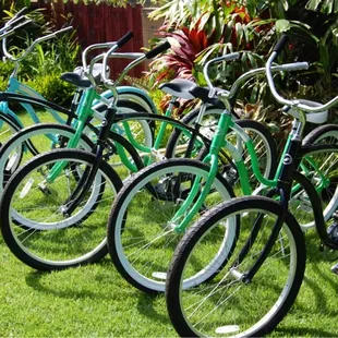 The Cruisers are ready to Cruise !