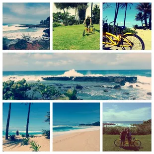 Tandem bike ride from Sharks Cove to Sunset Beach. So fun!