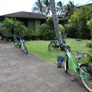 Perfect bikes for the country. As you can see, all your snorkeling and beach stuff fit in the provided baskets. Perfect!