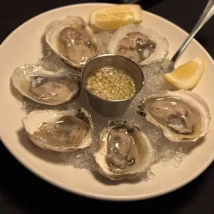 Oysters