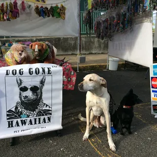 two dogs and a sign