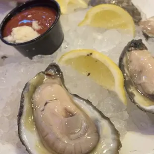 Raw oysters