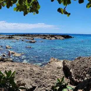 And it is across from the fabulous Shark's Cove snorkle spot