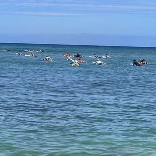 Surfers waiting their turn