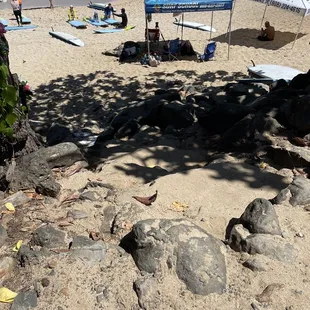 The blue tent is the place to check in