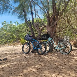 # g r a t e f u l  (Ohana Family )