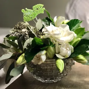 Rare Hawaiian Gardenias