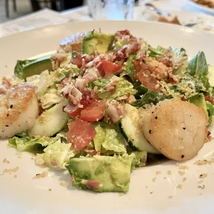 special of the day (7/2022): scallop salad