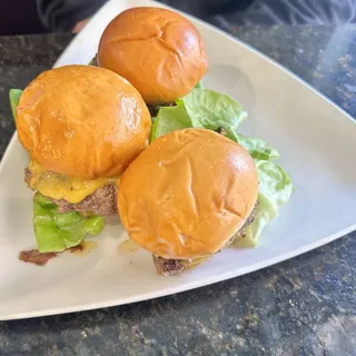 D CLASSIC SLIDERS