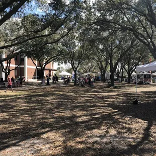 a crowd of people walking through the park
