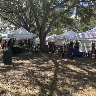 a large group of people standing under tents