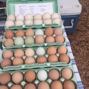 All local farm egg. Including turkey egg on the top pic