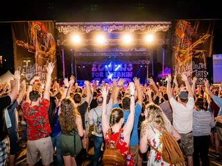 Wildflower Arts & Music Festival