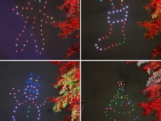 Reliant Lights Your Holiday