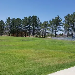 Open activity field