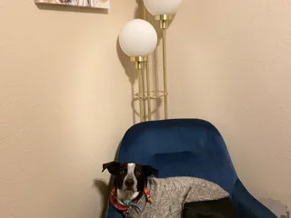 Coronado Animal Clinic