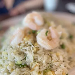 shrimp and rice