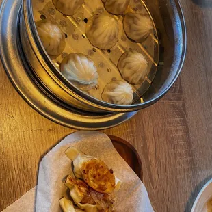 Dumpling + potsticker