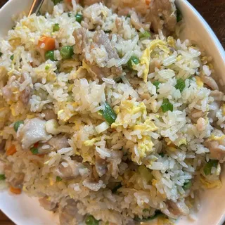Chicken & Salted Fish Fried Rice
