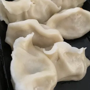 Pan Fried Chicken Dumplings