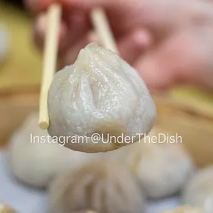 Shanghai Soup Dumplings (Xiaolongbao)