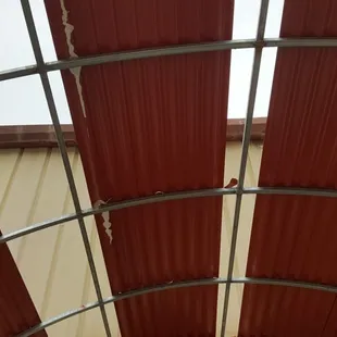 Above the entrance. Pieces probably been gone for years.