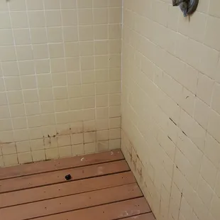 shower likely never been cleand