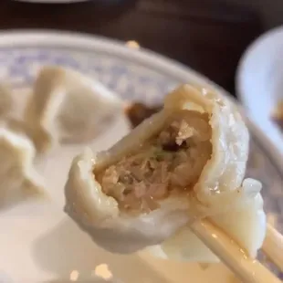 Pork and cabbage dumpling. Nice size and flavor