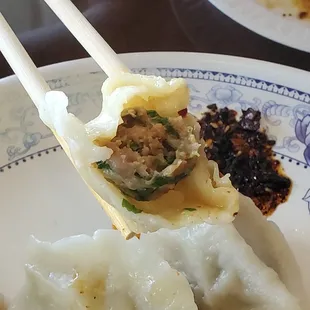 Pork and Chive Dumplings