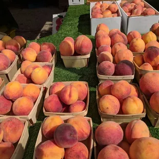 peaches in baskets