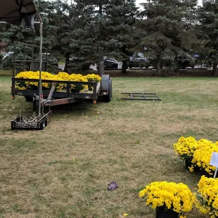 a trailer with yellow flowers