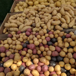 a large pile of potatoes