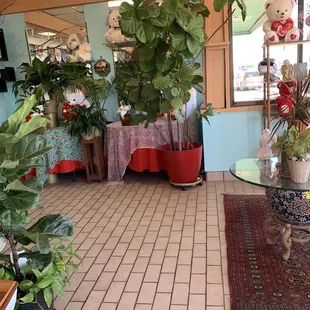 Plants and Flowers