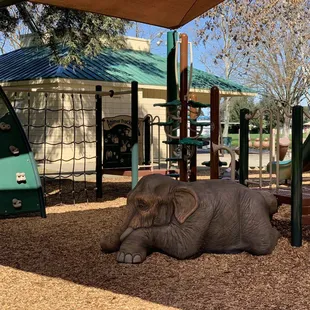 Backside of the playground.