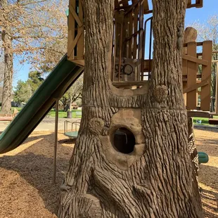 Tree house, left side (backside), of the playground.