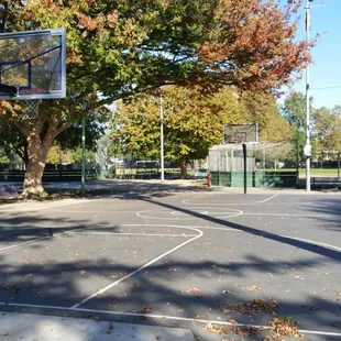 Basketball court