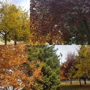 Fall 2018