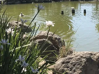 The Promenade Shops at Orchard Valley