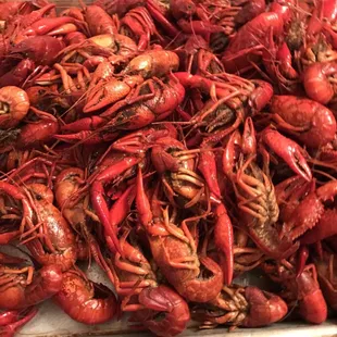 Berled Crawfish