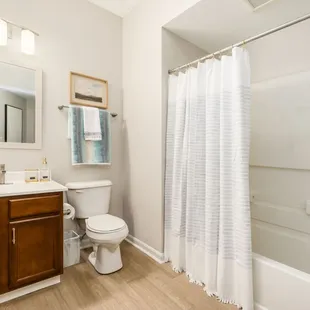 Guest bath (alternative finishes)