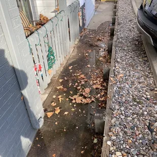 More water and leaves in front of our home..